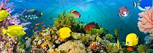 ФЛИЗЕЛИНОВЫЕ фотообои на стену «Коралы. Море» WG 00860 Sea corals